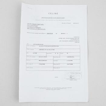 Céline, bag, "Luggage".
