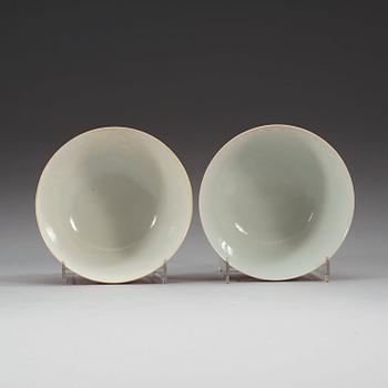 A pair of coral-ground reserve decorated bowls, late Qing dynasty (1644-1912), with Daoguang seal mark.