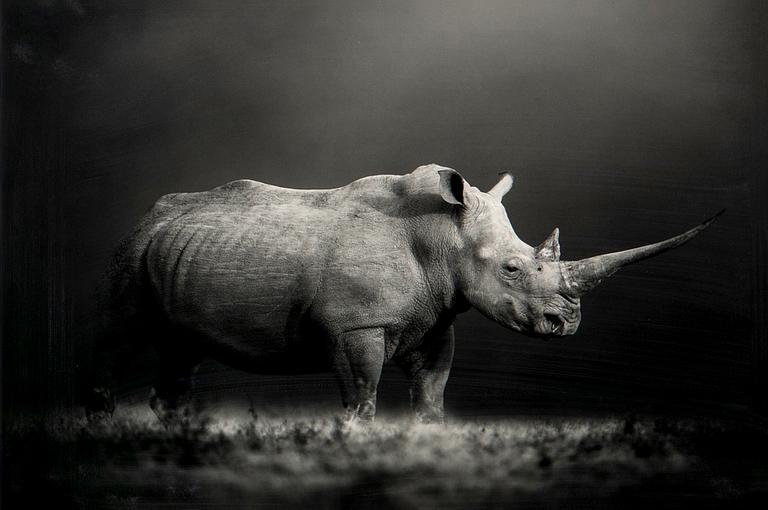 Björn Persson, "Natural Power", 2023.