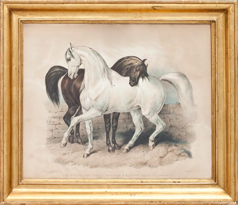 LITOGRAFISKT TRYCK, Imprimerie de Lemercier. Paris. 1800-tal.