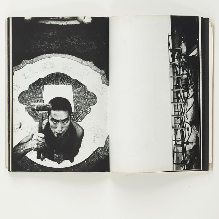 Eikoh Hosoe, "Killed by Roses".