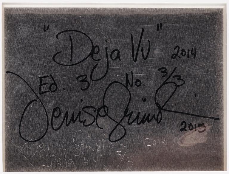Denise Grünstein, "Deja Vu", 2014.