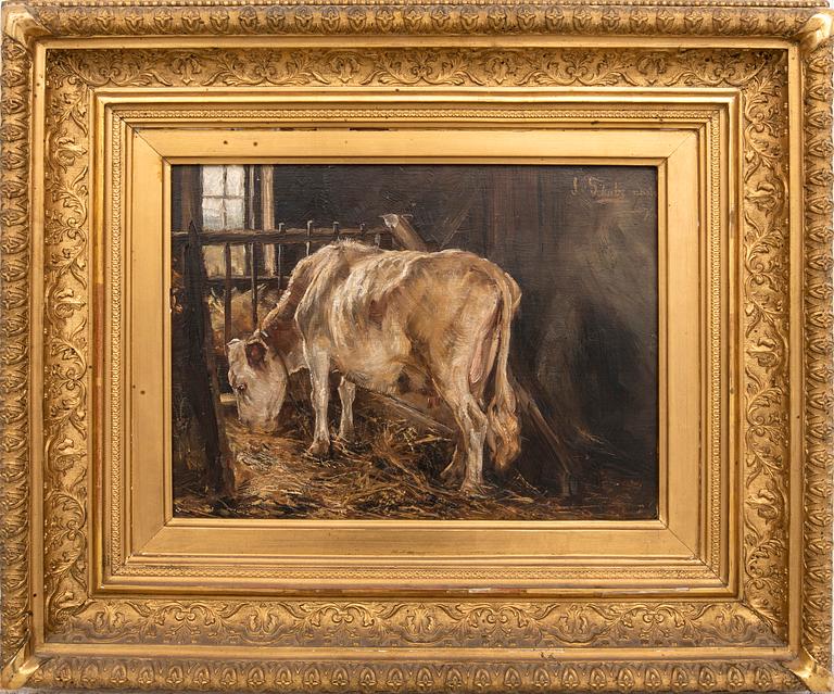 Ida von Schulzenheim, "Kostudie".