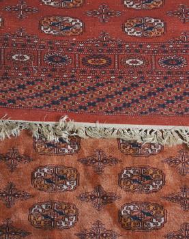 MATTA, Pakistan. 243 x 162.