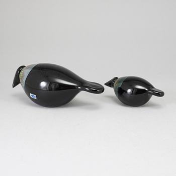 OIVA TOIKKA, lasilintu, 2 kpl, Raven (Korppi) 1998–2002 och 2012–2013, signeerattu O. Toikka Nuutajärvi.