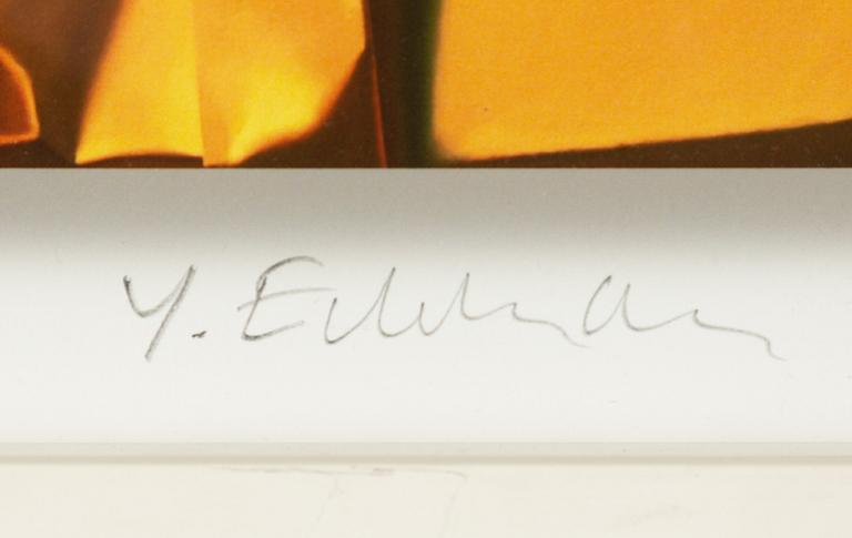 Yrjö Edelmann, giclée, signerad 110/375.