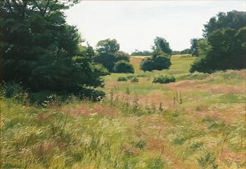 Gerhard Nordström, Landscape.