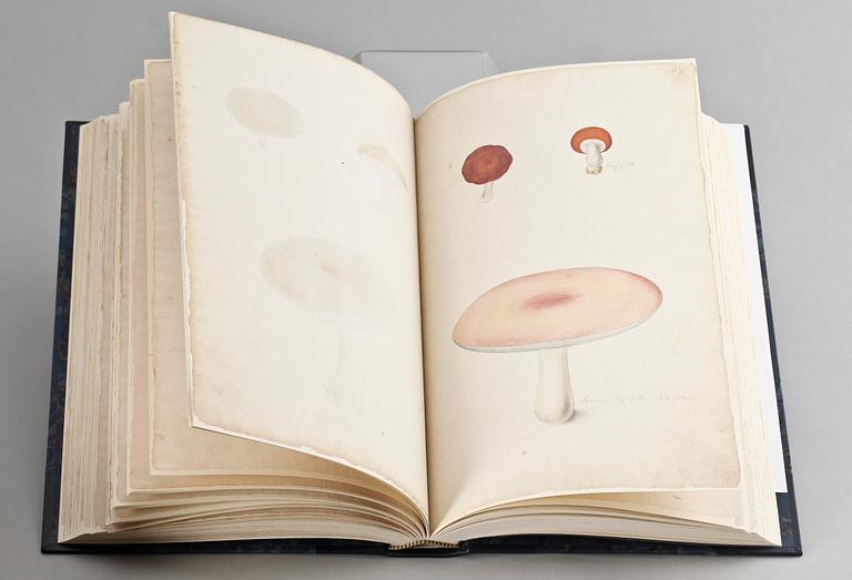 BOK, 2 band.  Olof Rudbeck dy. Iter Lapponicum René Coeckelberghs Bokförlag AB, Stockholm 1999.