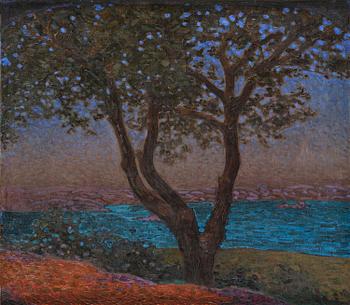 828. Pelle Swedlund, "Sommarnatt i skärgården".