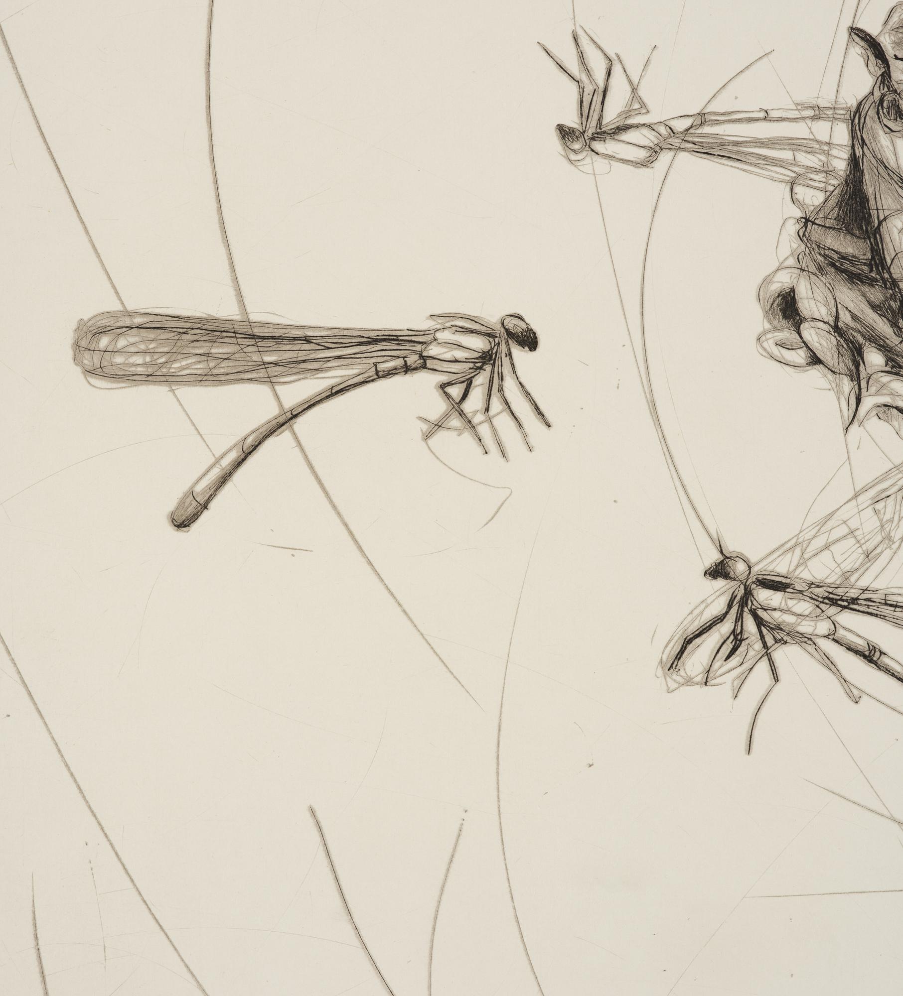 Linn Fernström, Girl in a bird's nest.