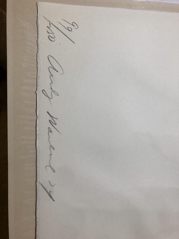 ANDY WARHOL,Silkscreen 1974, on Arches paper, signed with initials in pencil, and also signed and numbered 99/250 verso.