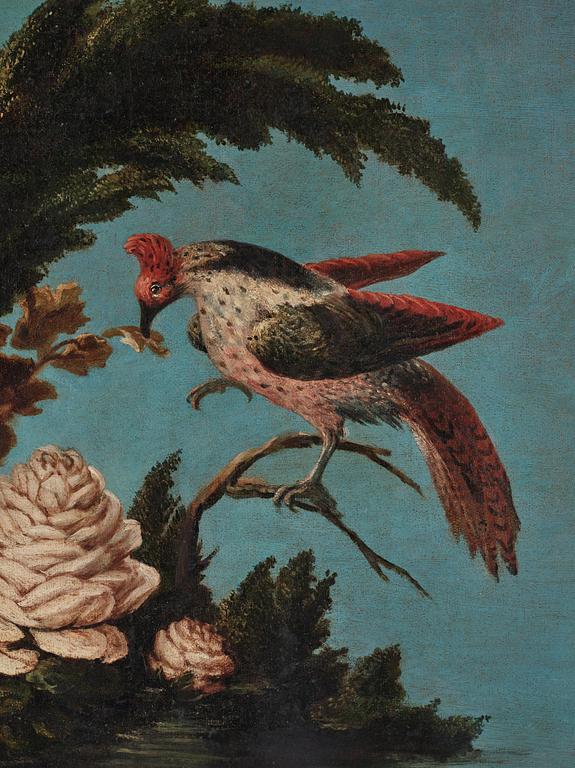 Italian school 18th Century. Stillifes with birds, a pair.