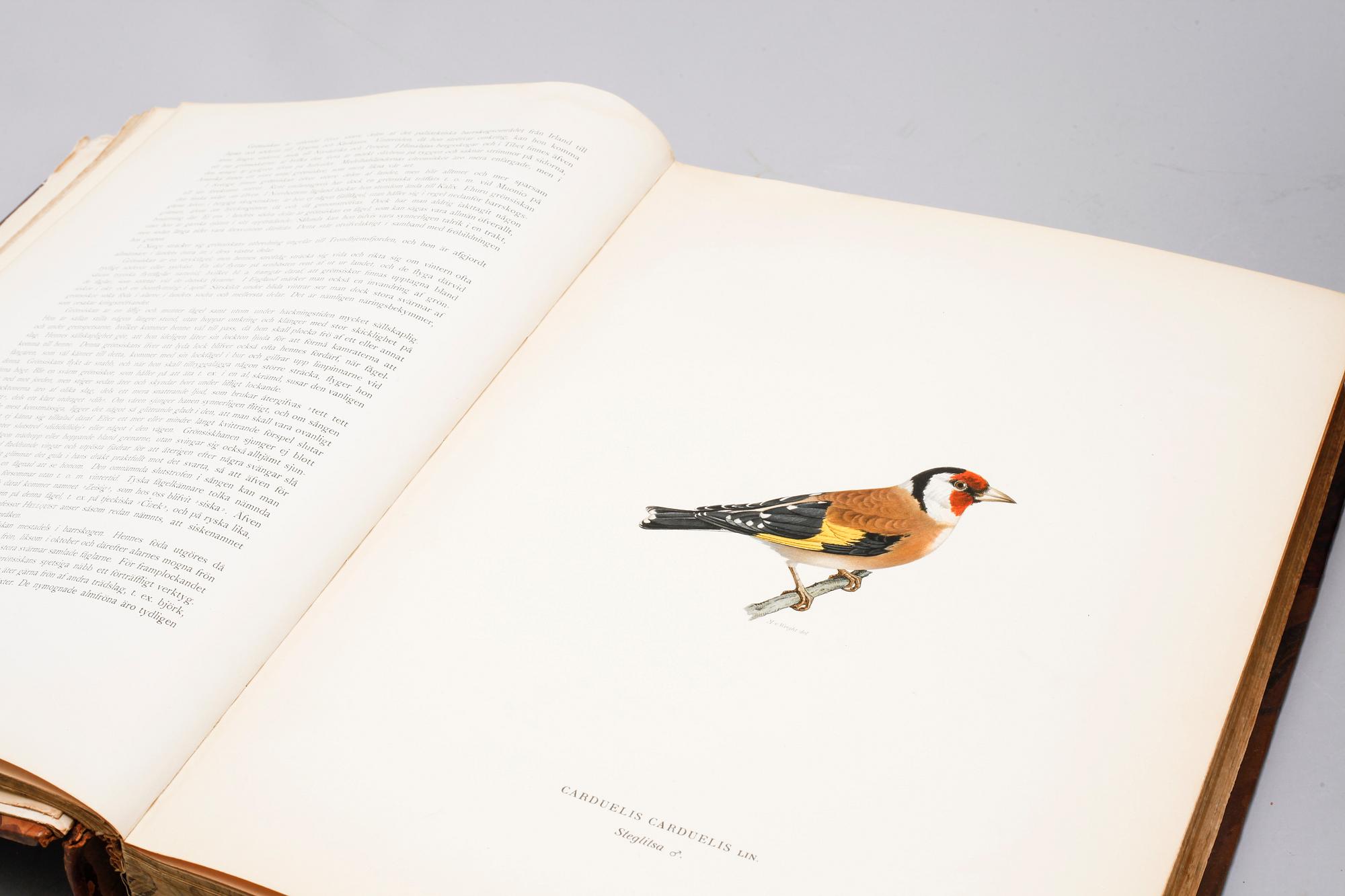 M, W & F VON WRIGHT, books, three volumes, 'Svenska fåglar', A. Börtzells tryckeri AB Stockholm, 1924-1929.