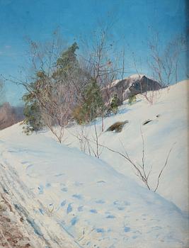 Anshelm Schultzberg, 'A sunny winter day' (Solig vinterdag).