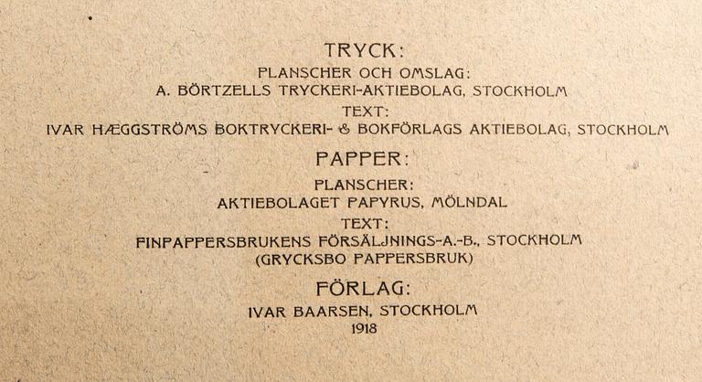Bröderna von Wright, planschverk, "Svenska Fåglar", Ivar Baarsens förlag, Stockholm år 1918-1924.