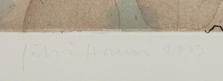 PÄLVI HANNI, etsning, signerad och daterad 2003, numrerad E.A. 2/5.
