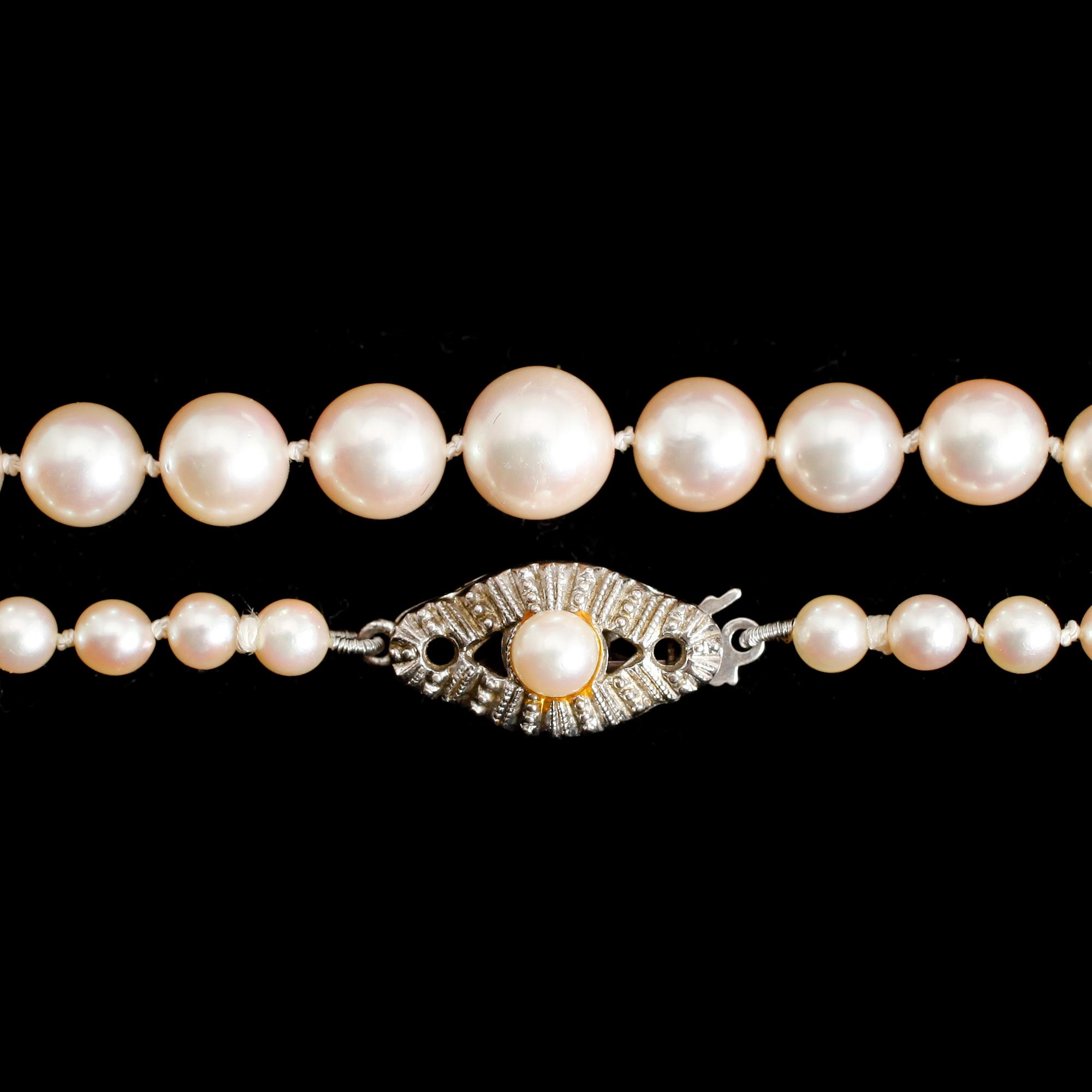 COLLIER, doserade odlade pärlor.