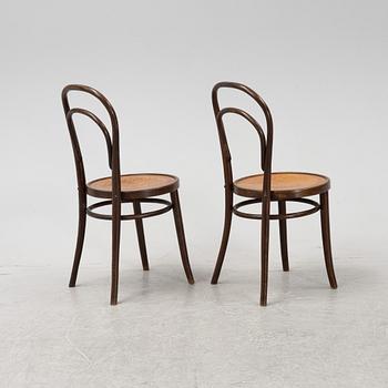 Six Thonet type chairs, Rumania, 20th Century.