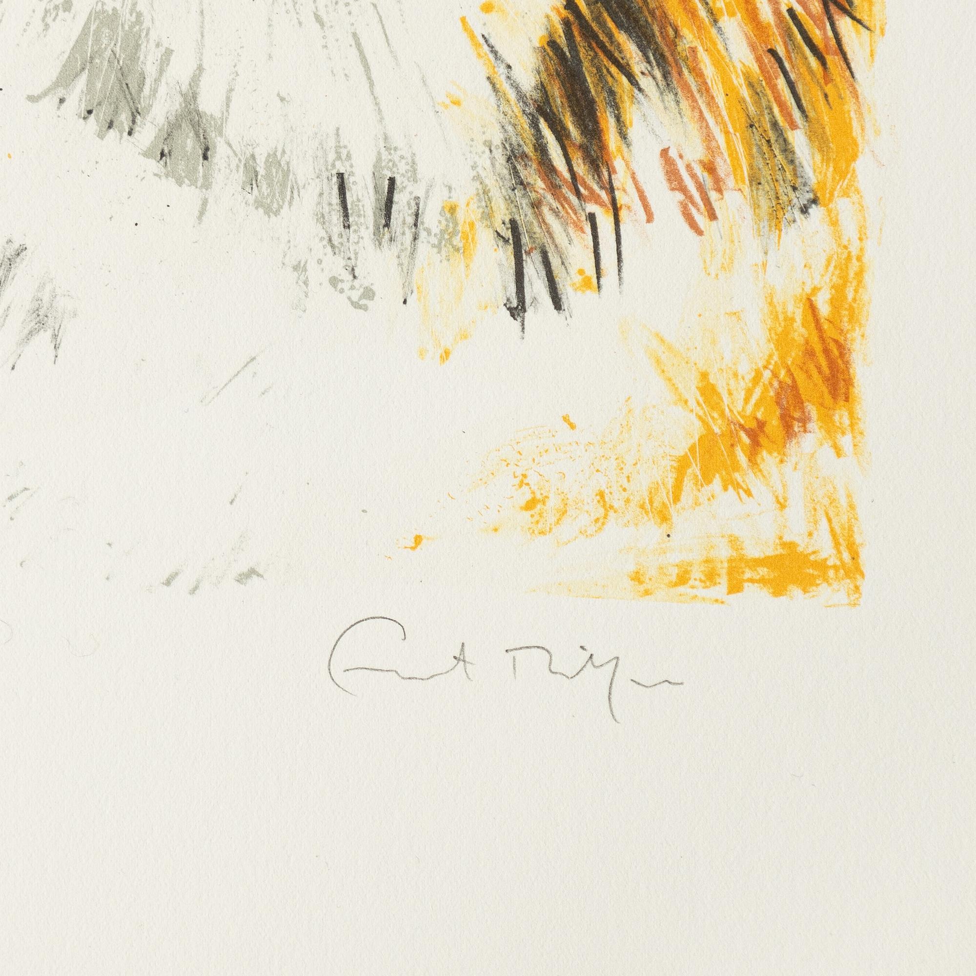 Portfolio, with 5 lithographs, “5th IAAF World Championships in Athletics Göteborg 1995”.