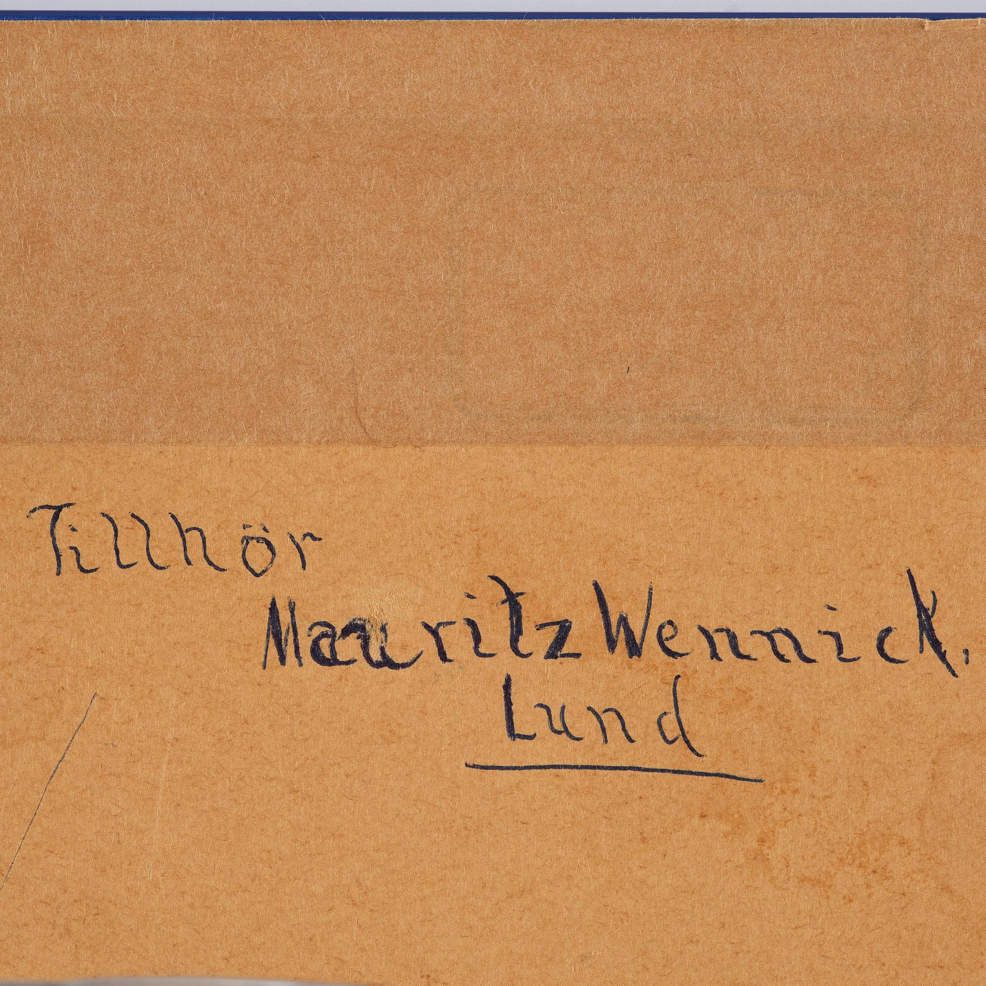 Tora Vega Holmström, Untitled.