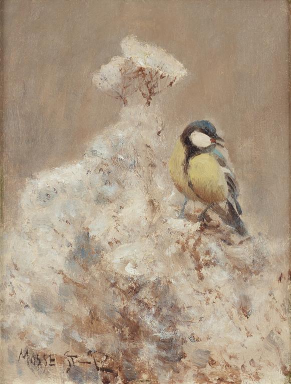 Mosse Stoopendaal, "Talgoxe på gren" (Great tit on a branch).