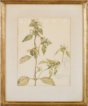 JOHAN BRIEDÉ, akvarell, sign Ljugarn 1954.