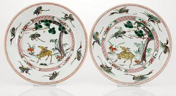 197. A pair of famille verte dinner plates, Qing dynasty, Kangxi (1662-1722).