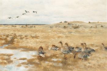 114. Bruno Liljefors, Wild geese.