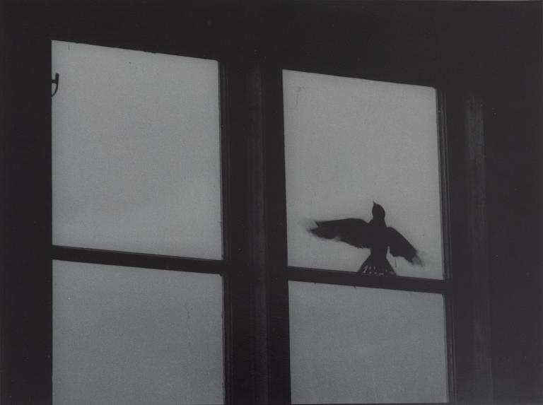 Kenneth Gustavsson, "Utan titel (fågel i boa)", 1985.