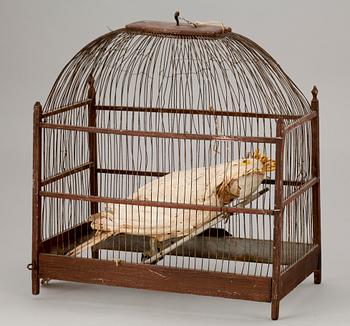 FÅGELBUR MED PAPEGOJA, trä och metall, 1900-talets första hälft.