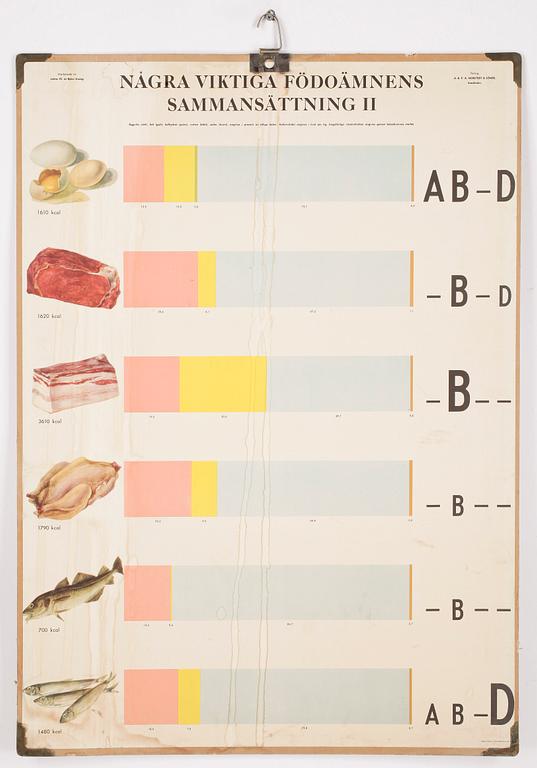 SKOLPLANSCHER, 4st, varav en litografisk plansch, bla Norstedts Förlag.