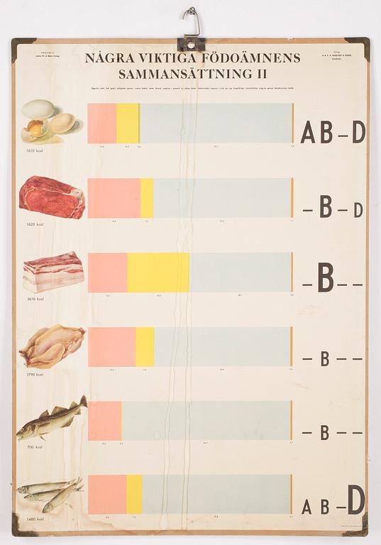 SKOLPLANSCHER, 4st, varav en litografisk plansch, bla Norstedts Förlag.