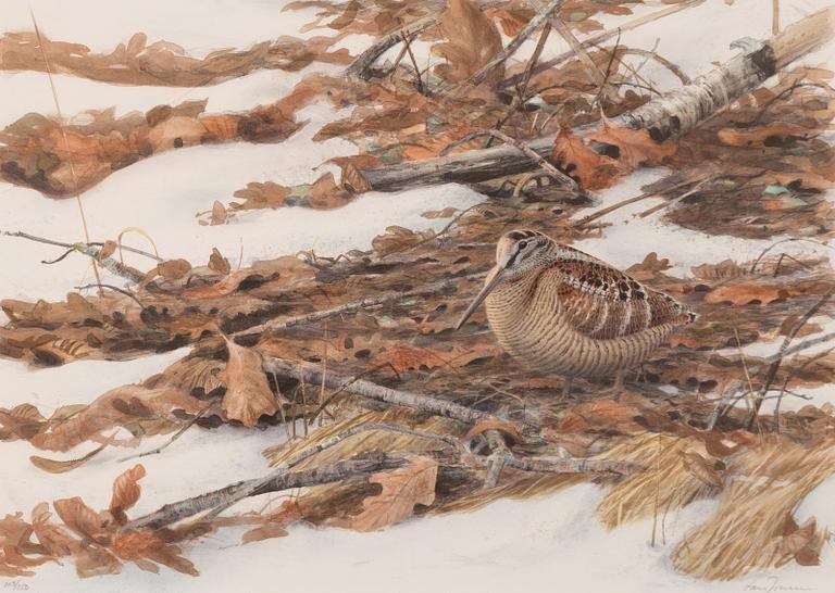 Lars Jonsson, Woodcock in a Spring Winter Landscape.