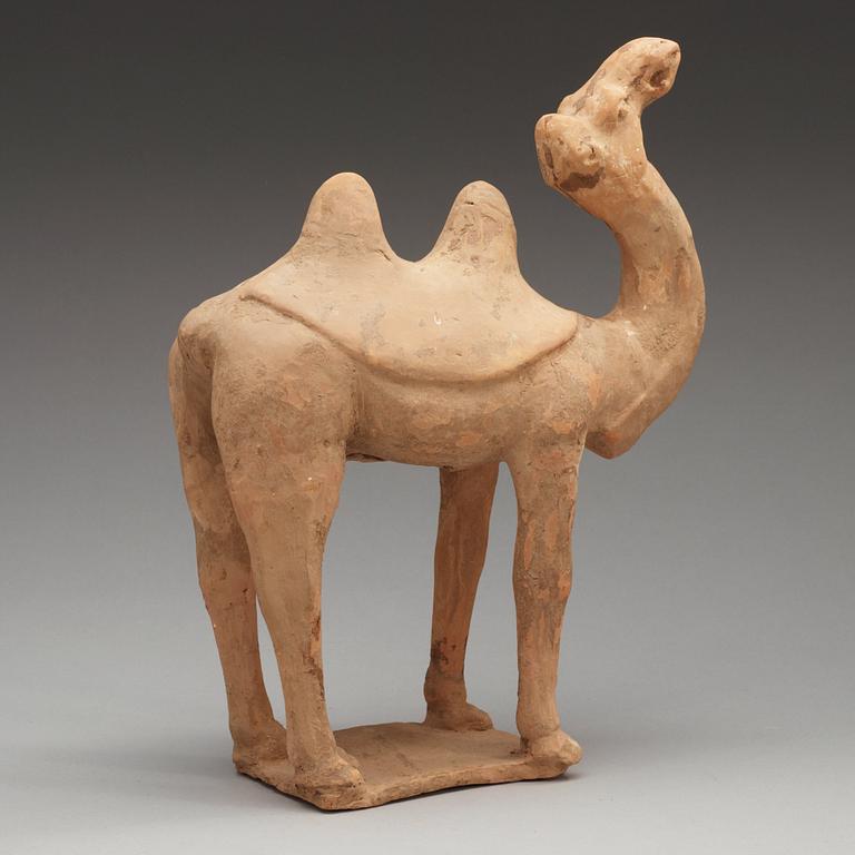 A pottery figure of a Camel, presumably Tang dynasty (618-906).