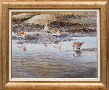 GÖRAN PETTERSSON, olja på duk, signerad.