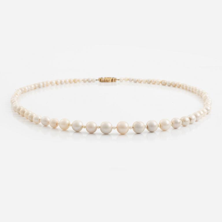 A pearl necklace.