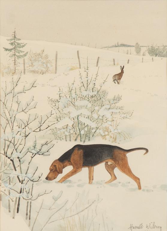 Harald Wiberg, Hamiltonstövare och hare.