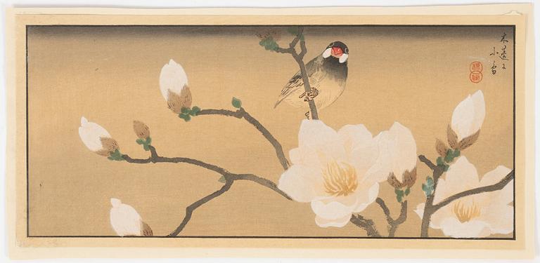 A set of 23 woodblock prints depicting birds from various artists, 20th Century.