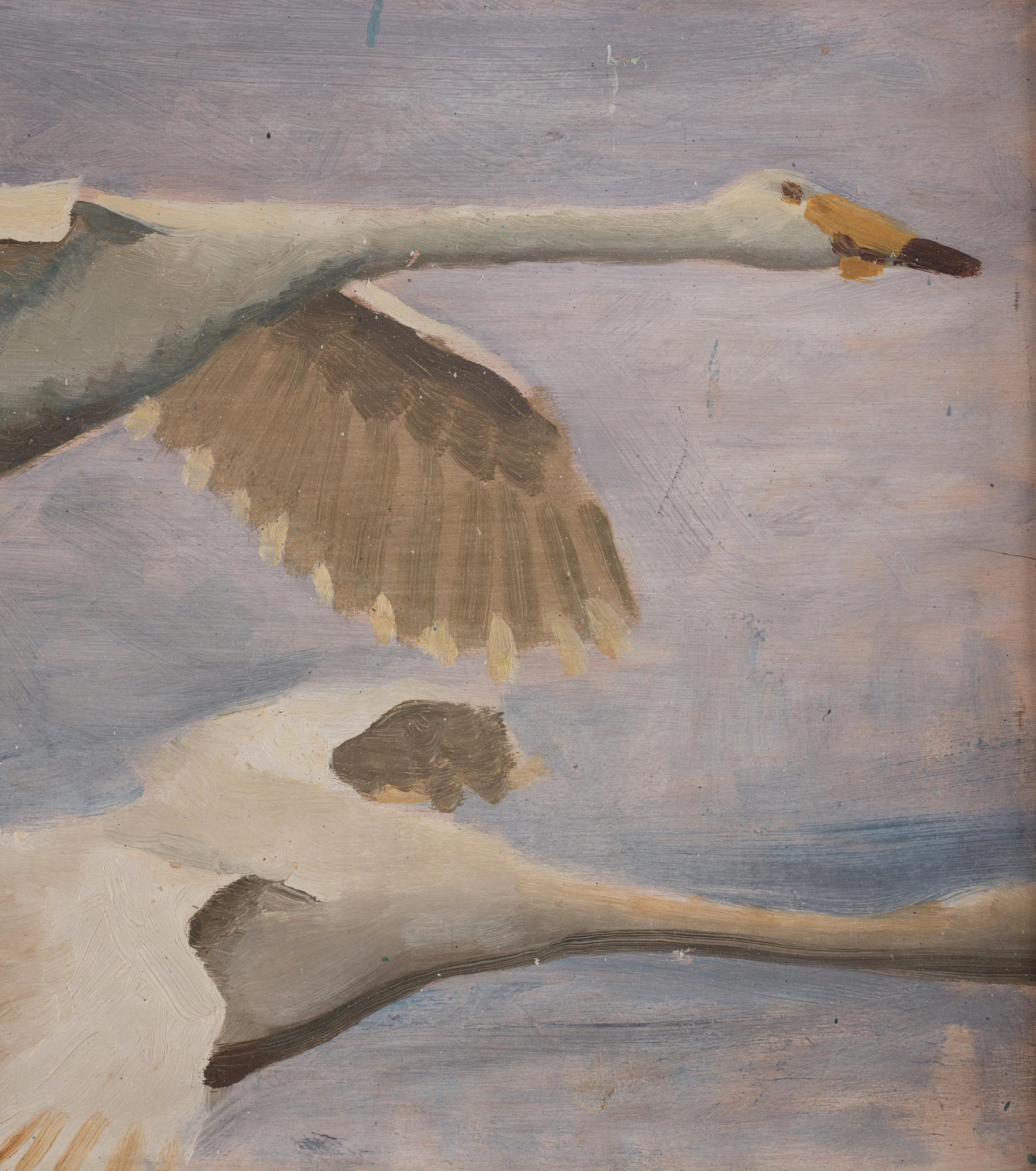 Bruno Liljefors, Flying Swan.