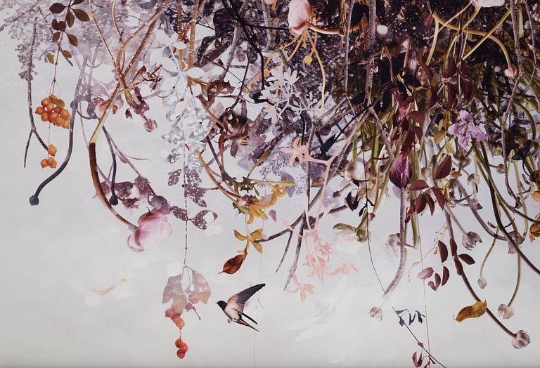 Ysabel LeMay, "Spiritus", 2011.