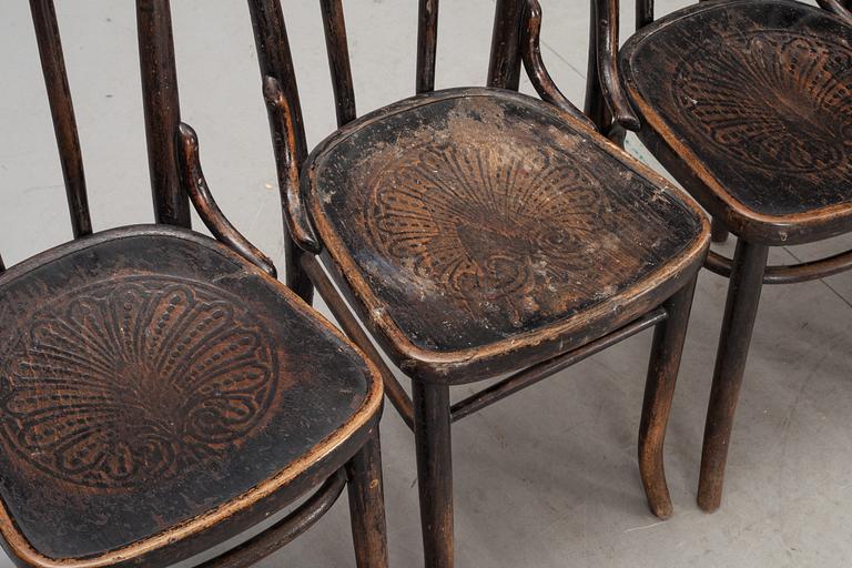 STOLAR, 6+2 st, bl a Cosmos, 1900-talets början, etikettmärkta.