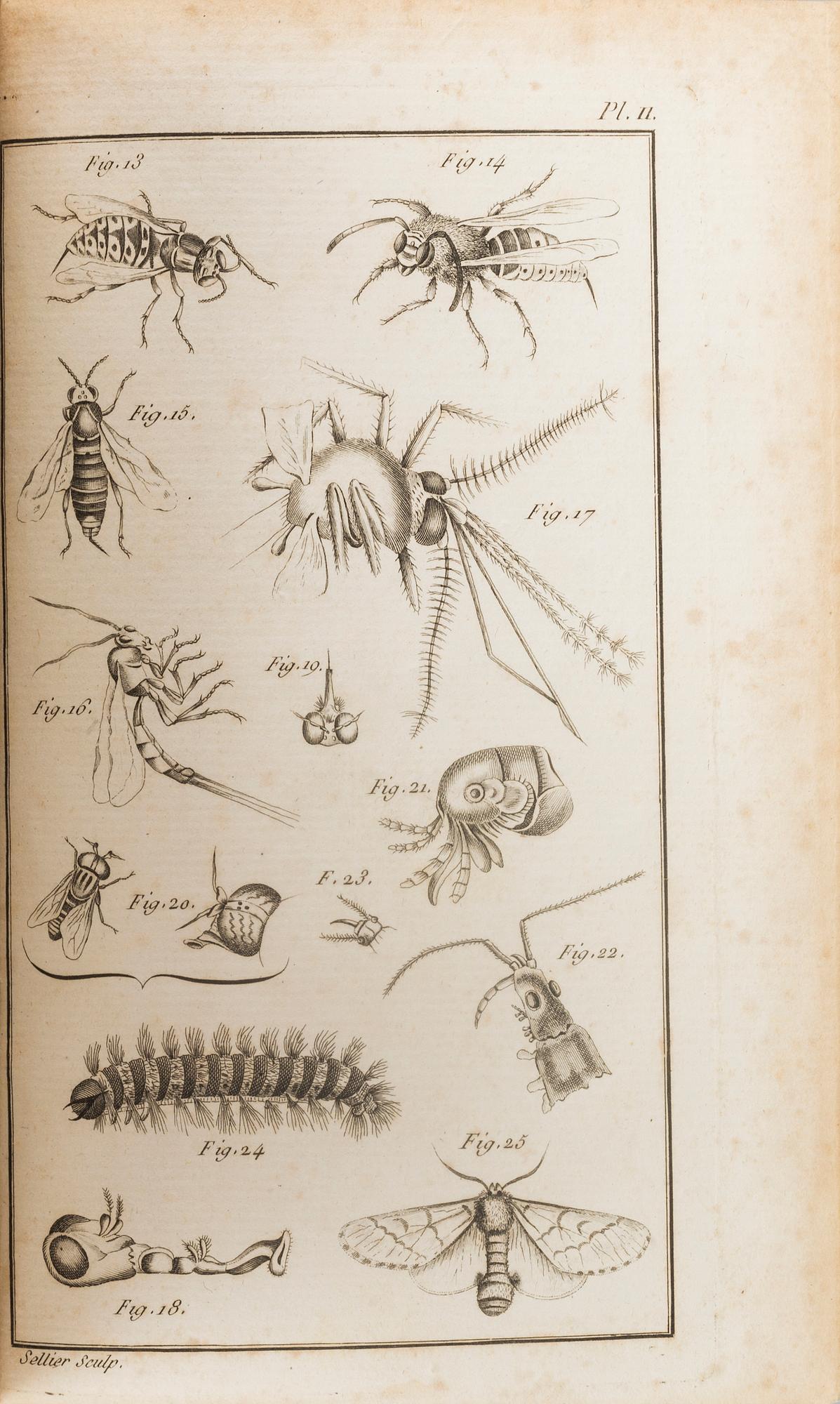 NOTICE DES INSECTES DE LA FRANCE... AV PIERRE JOSEPH AMOREUX PARIS 1789.