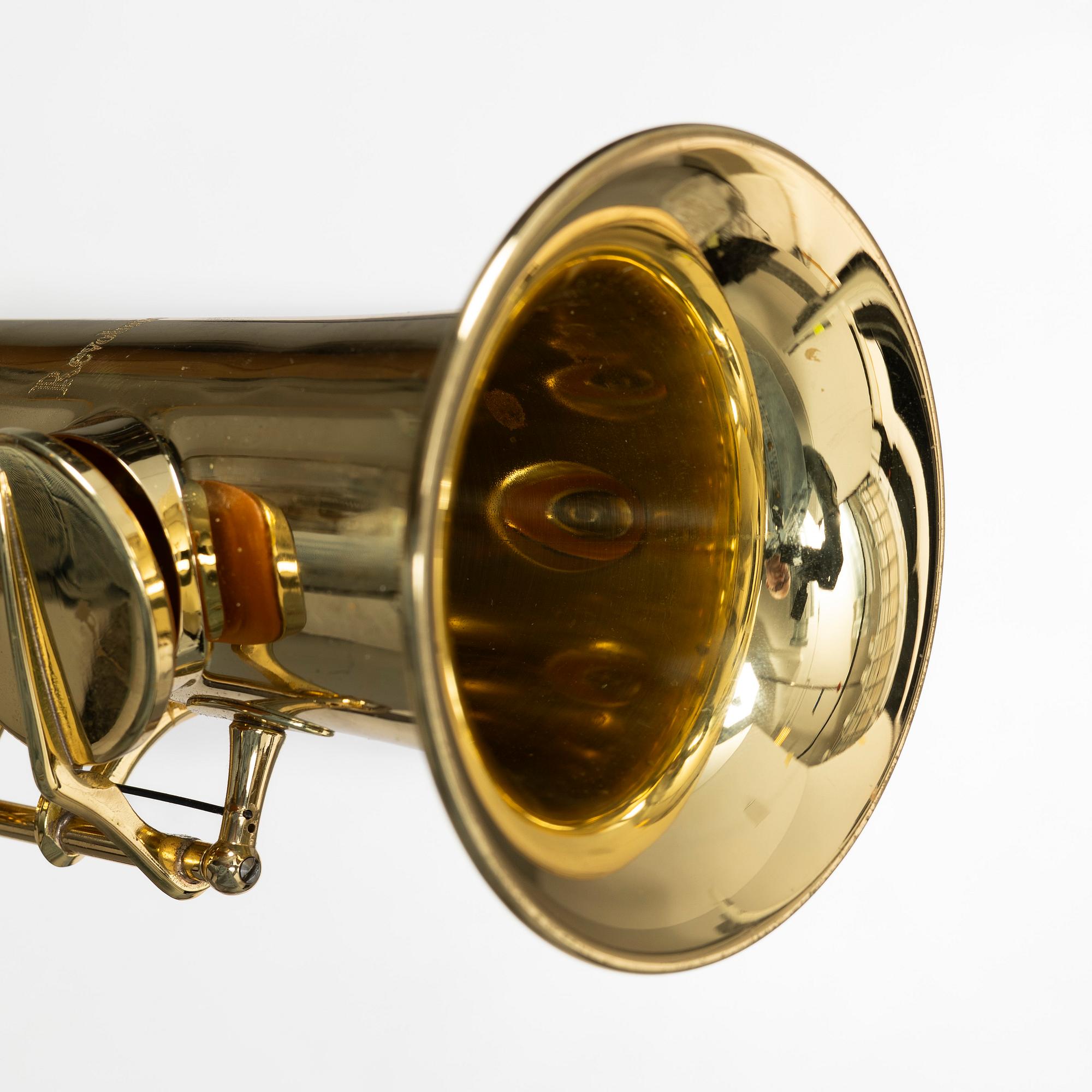 Trevor J. James, sopransaxofon, "Revolution 2"/ "The Hornet",  2000-tal, England.