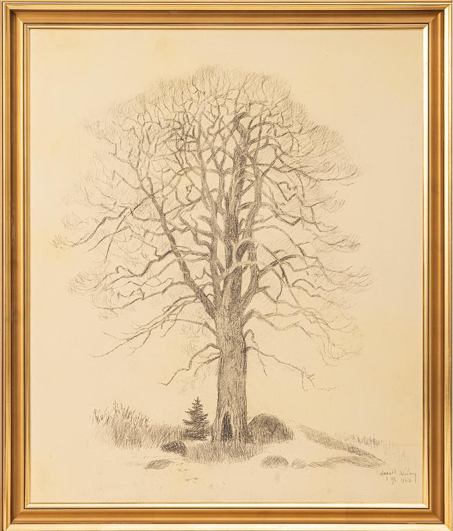 Harald Wiberg, The lonely tree.