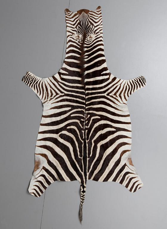 ZEBRASKINN.