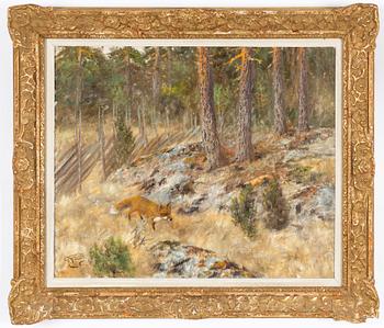 Johannes Ravn, Fox in a forest landscape.