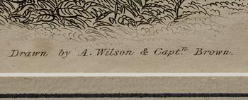 ALEXANDER WILSON, gravyrer, 2 st, handkolorerade.