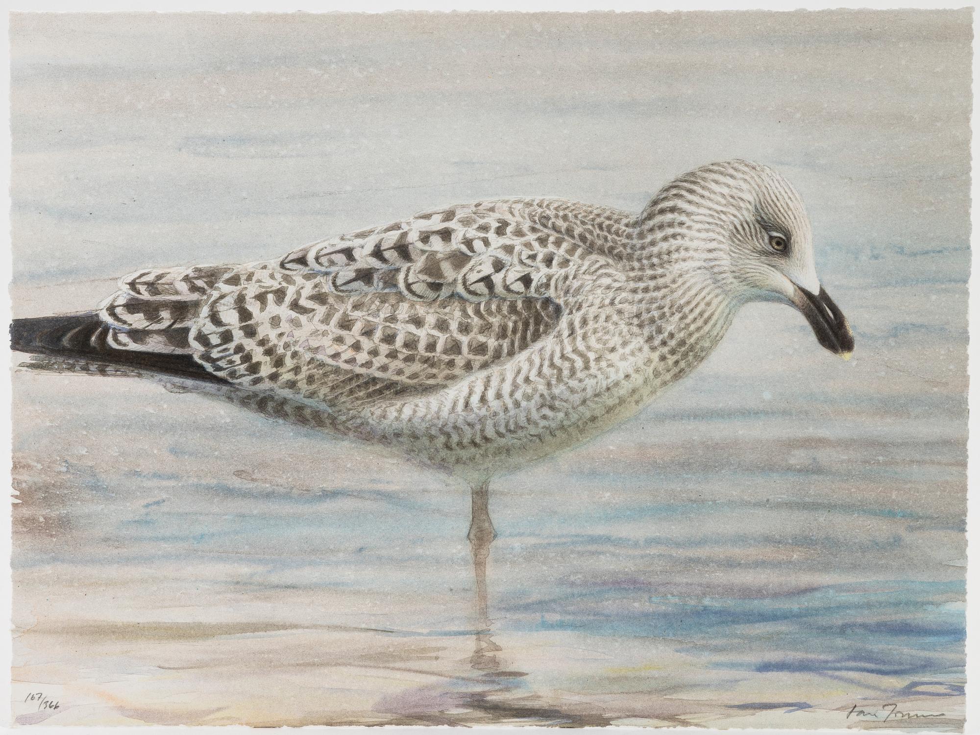 Lars Jonsson, portfölj "Dagrar", 2000,  med 12 färglitografier, signerade 167/366.