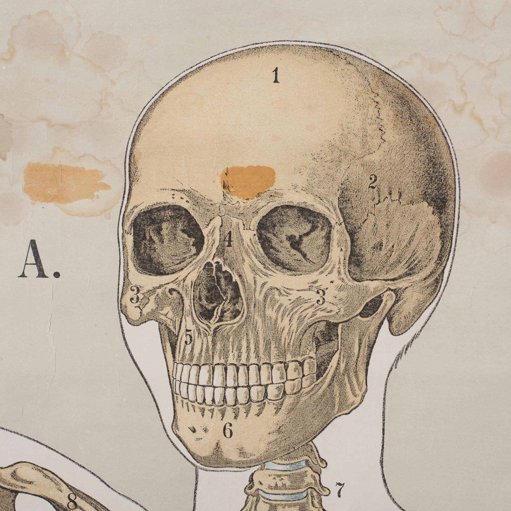 PLANSCH, 1900-talets första hälft.