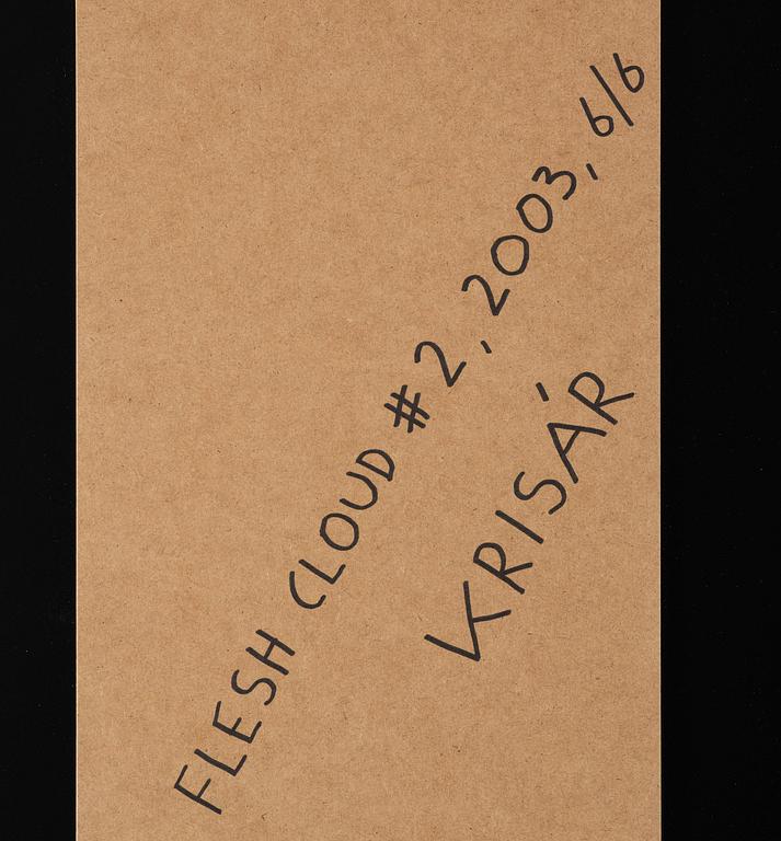 Anders Krisár, "Flesh Cloud #2", 2003.